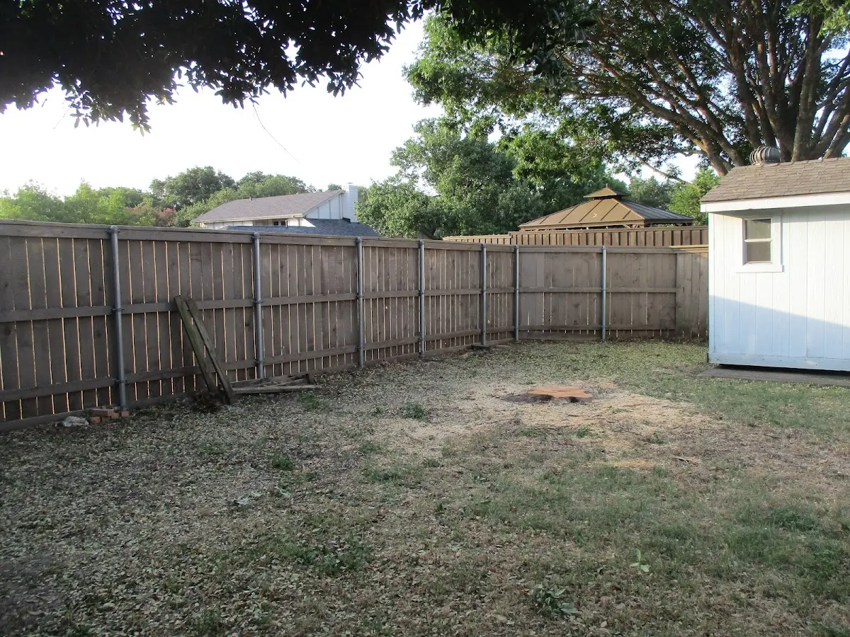 Cleared yard after professional tree removal in Tall Timbers